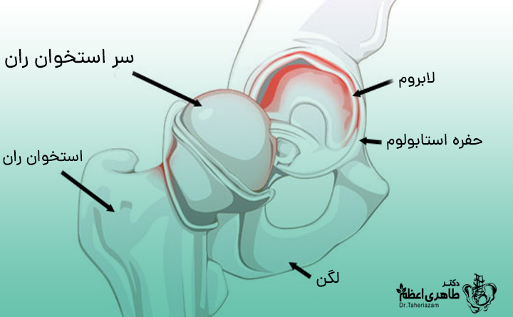 چرخش لگن